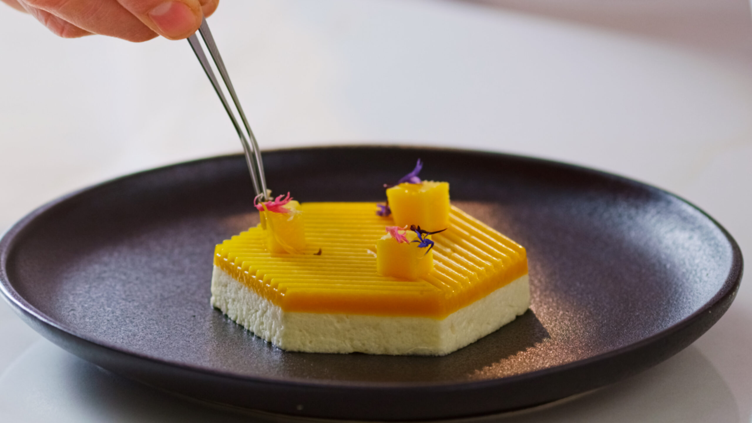 TL_05 - Tortino al Mango 01_00_00_49_00